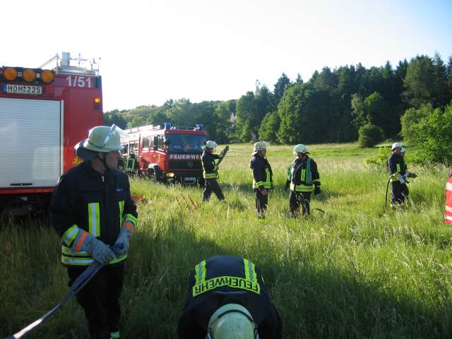 06.jpg