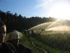 Hier klicken zum Ansehen img_4082_t1.jpg